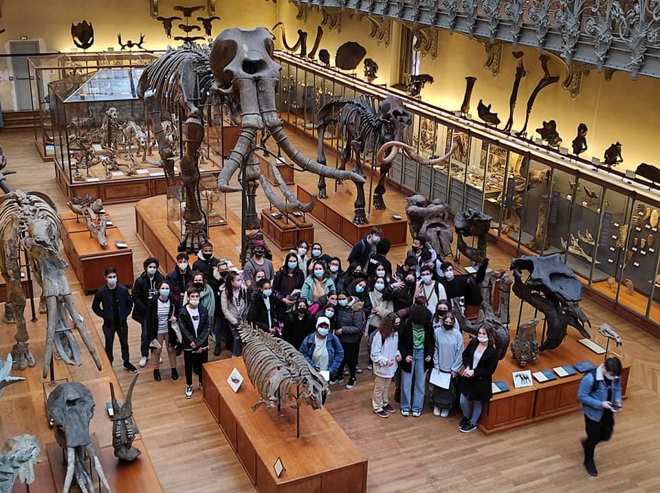 Sortie Museum histoire naturelle